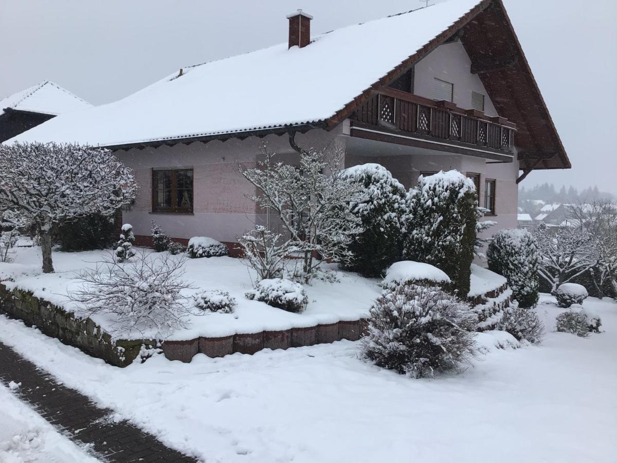 Ferienwohnung Zur Kartause Schollbrunn Esterno foto